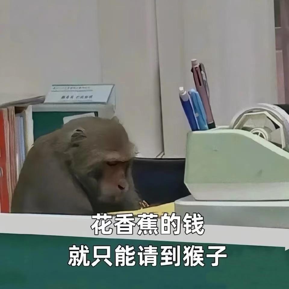 琳小Lin