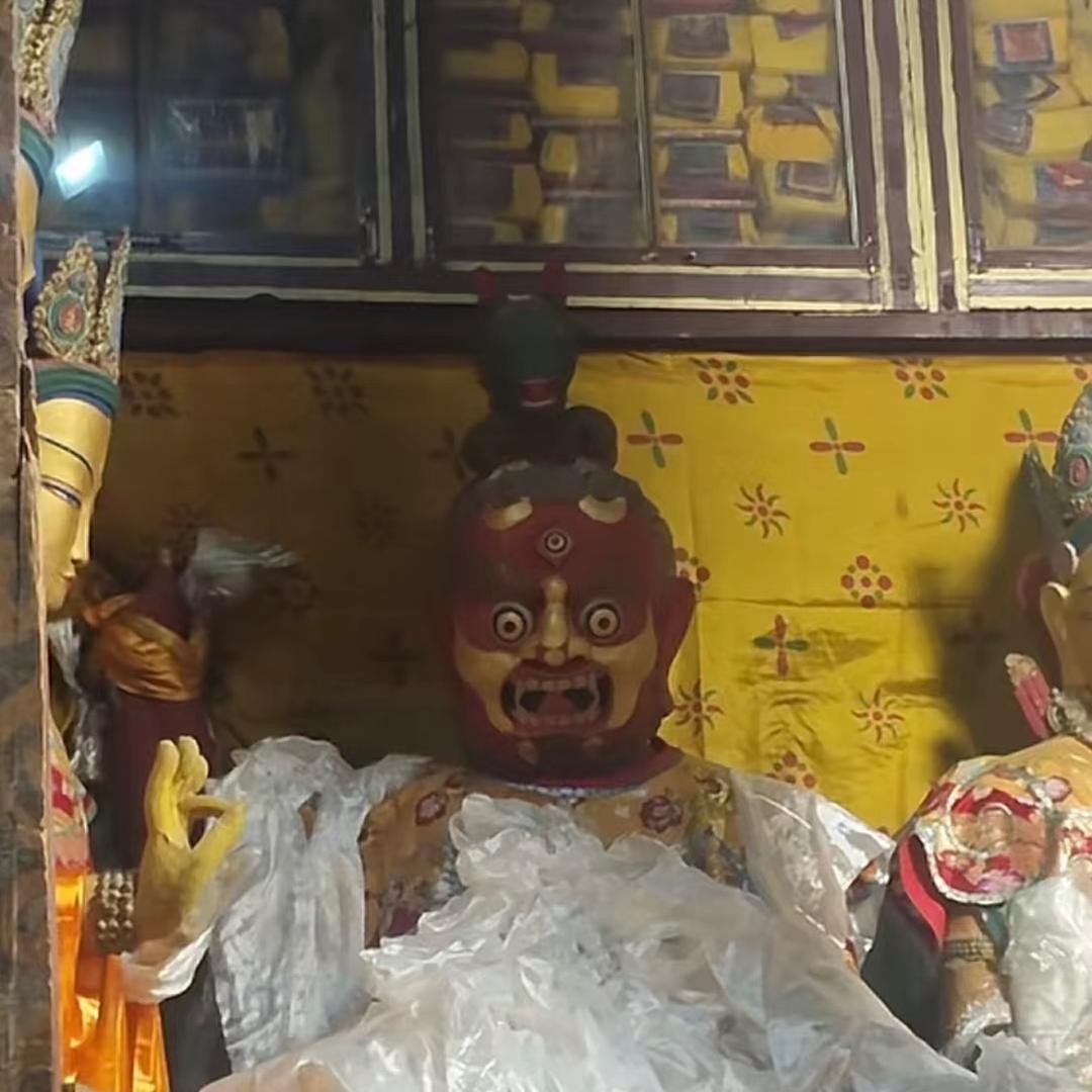 卓儿