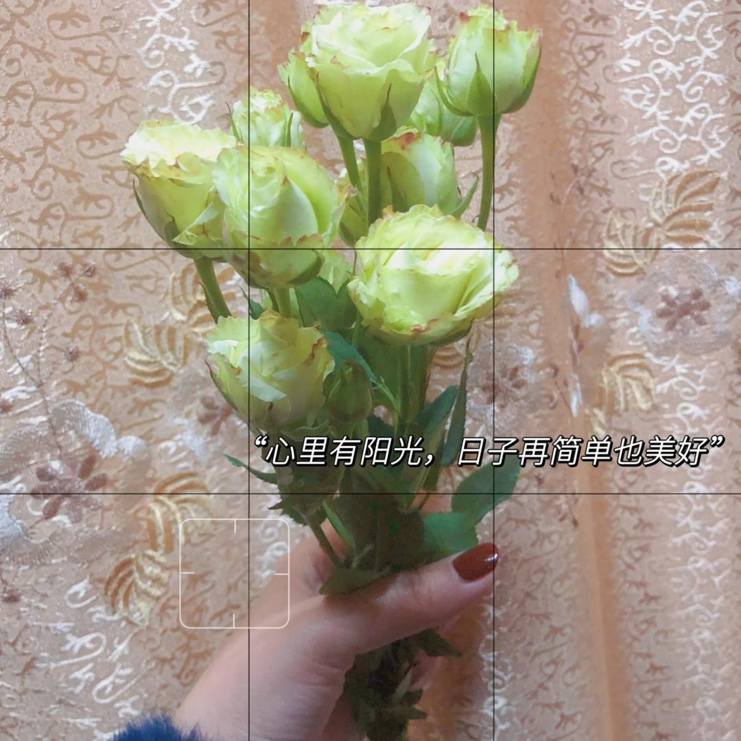 老姨