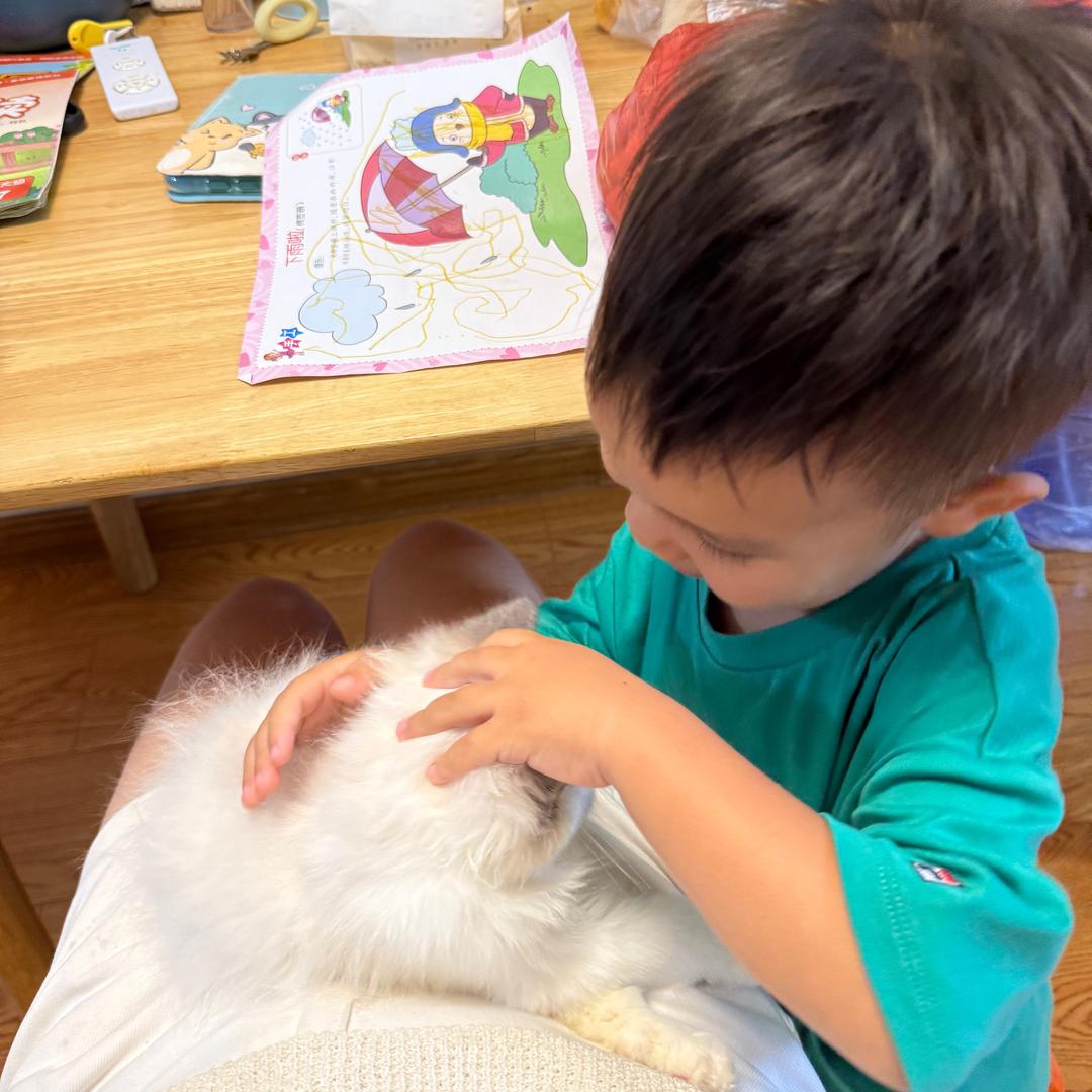 百万小主和他的喵小弟