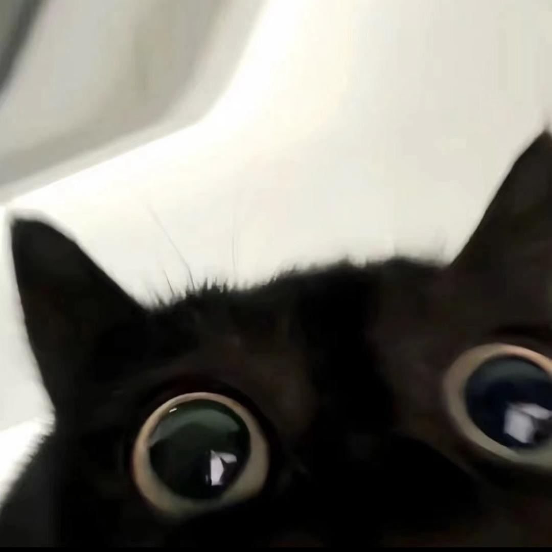 秣