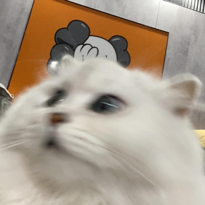 鼓手小伍