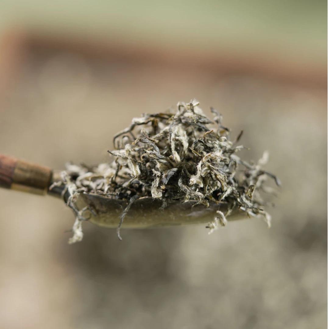 宜源诺茶叶旗舰店