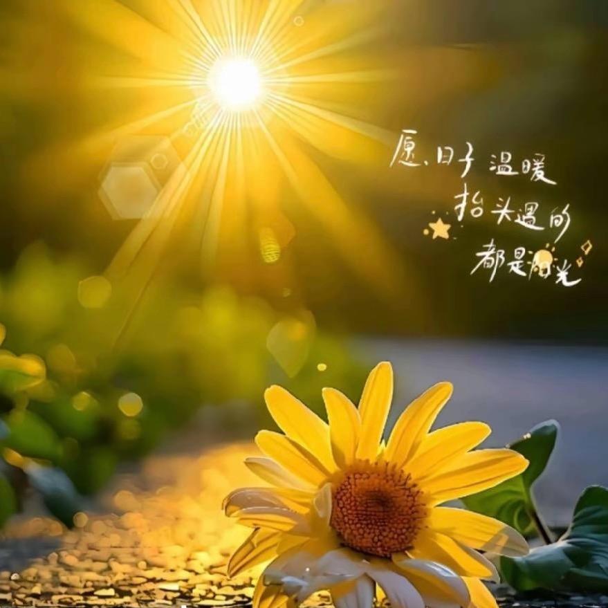 💞᭄ཽ࿆爱财 悦已꧔ꦿ᭄❀ ͜҉