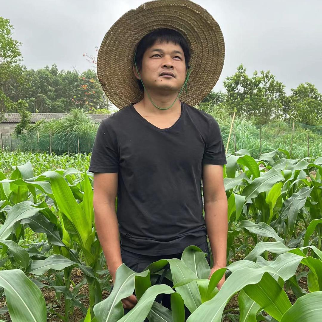 村居小二
