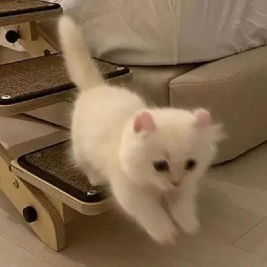 不发光恒星乱撞