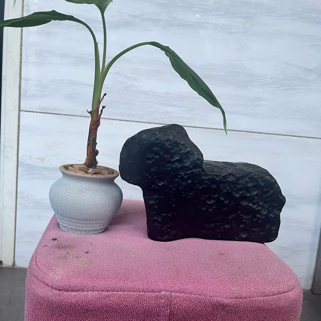 寻乌黄乡雨石奇石