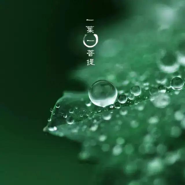 @@@静
