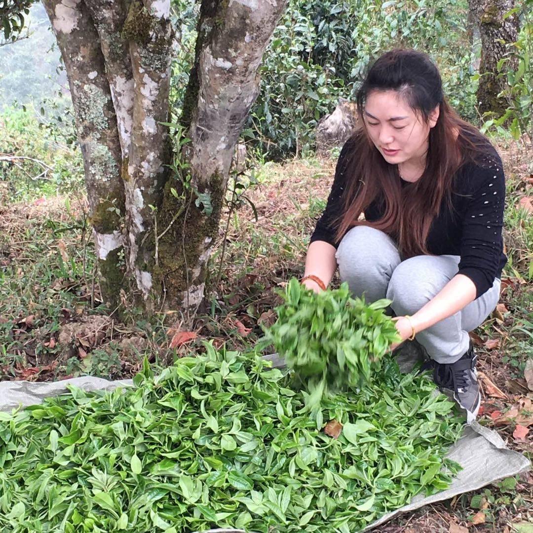 杨姐茶韵