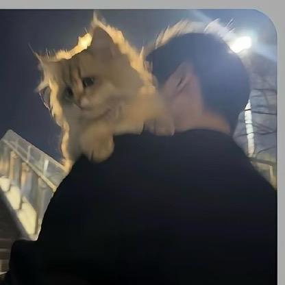 愚人.