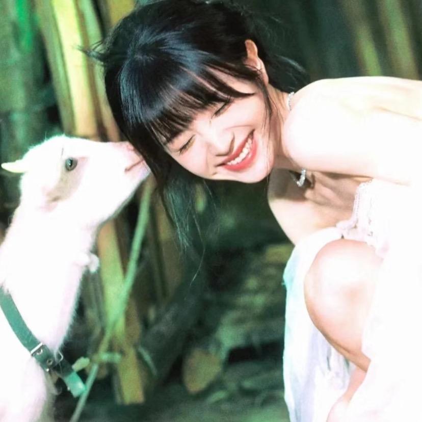 番茄不炒蛋ʚʕ̯•͡˔•̯᷅ʔ