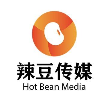 辣豆传媒有限公司