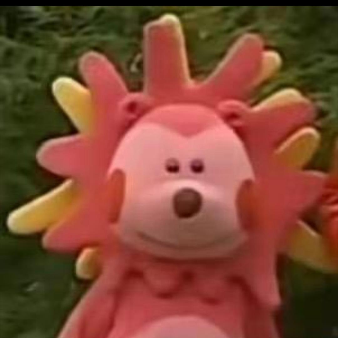 九次拒绝赵露思