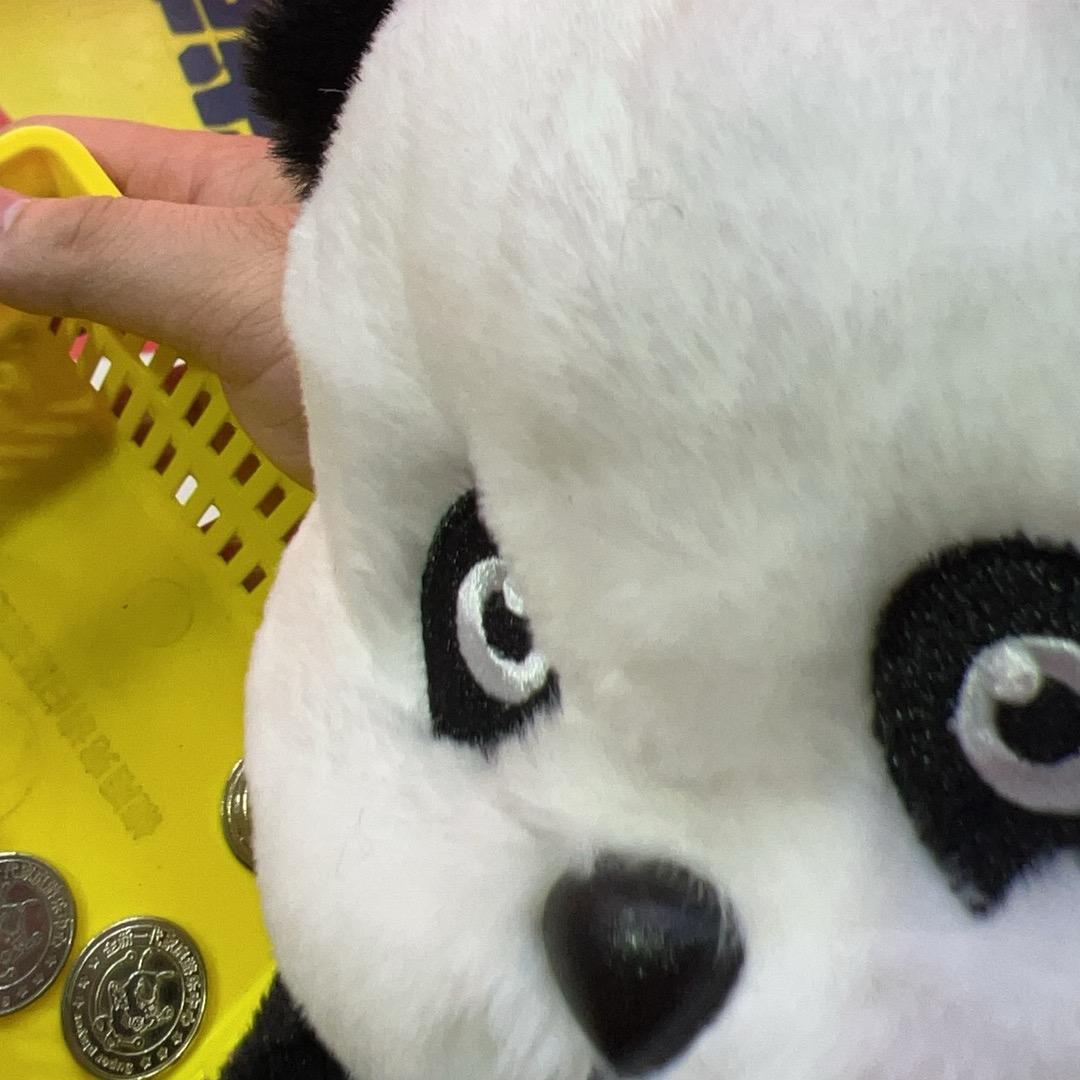 岁月是桶猪饲料