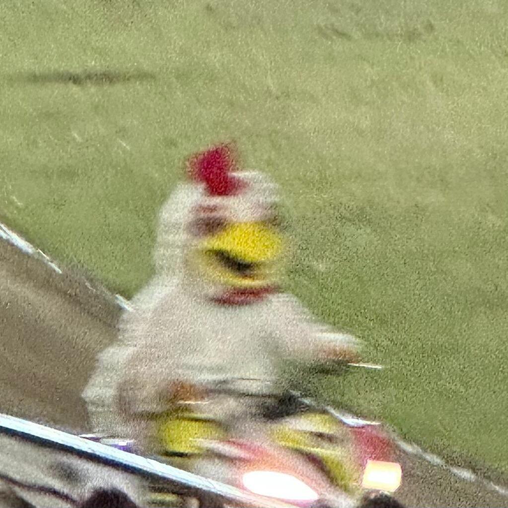 6岁