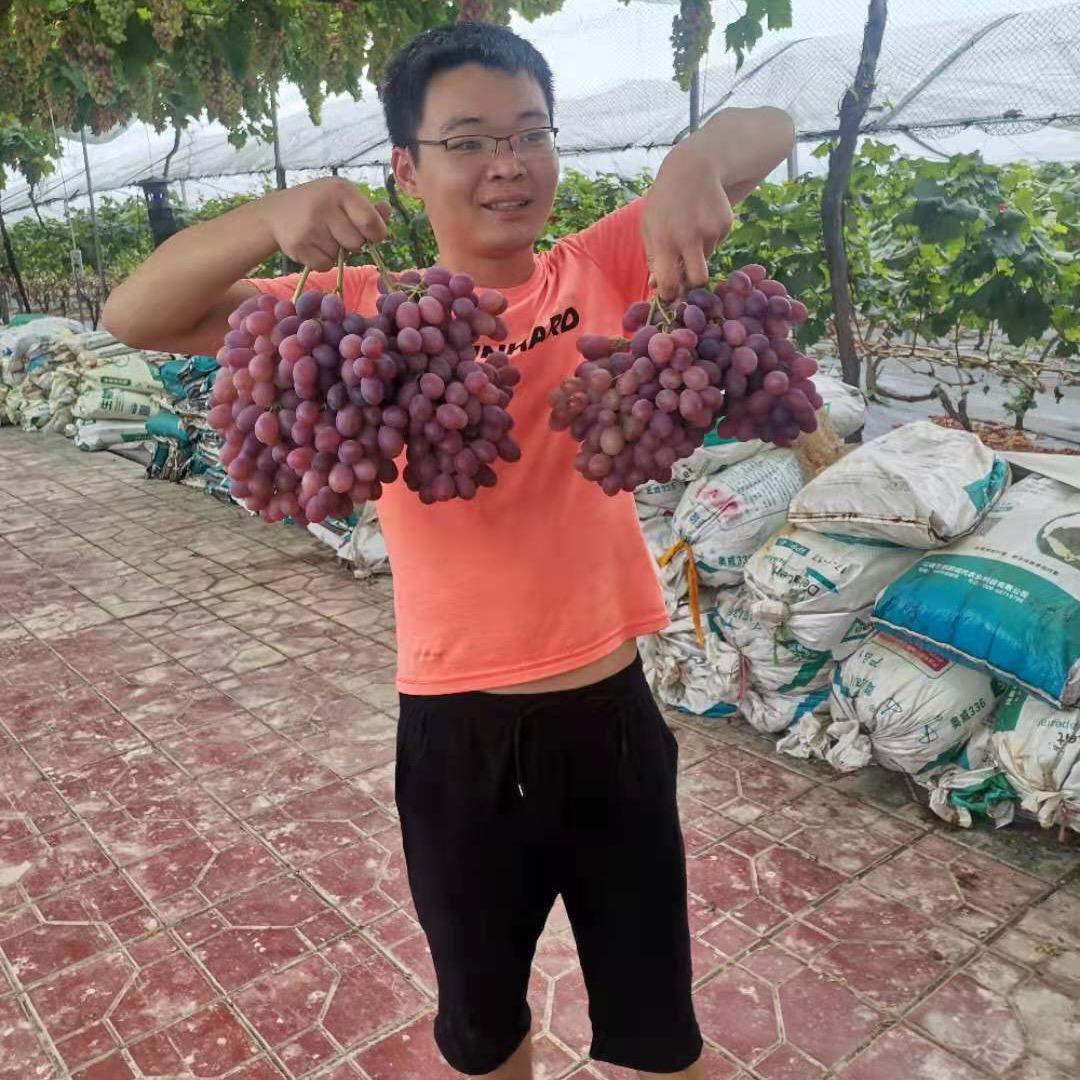 小强