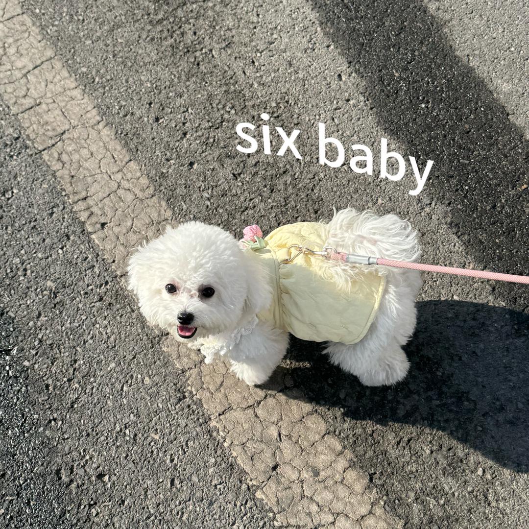 张六六的美丽衣橱