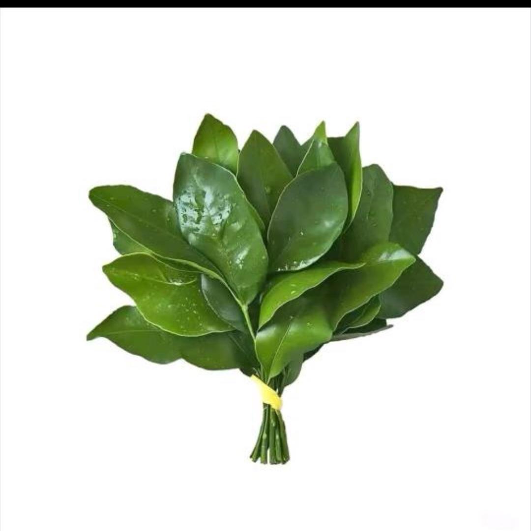 忆
