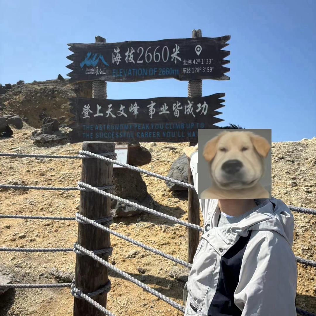 独行者20号