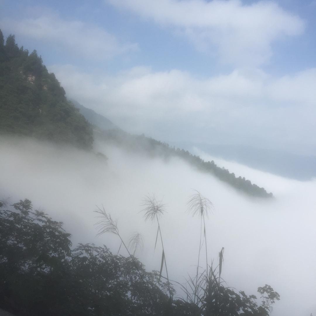 听说