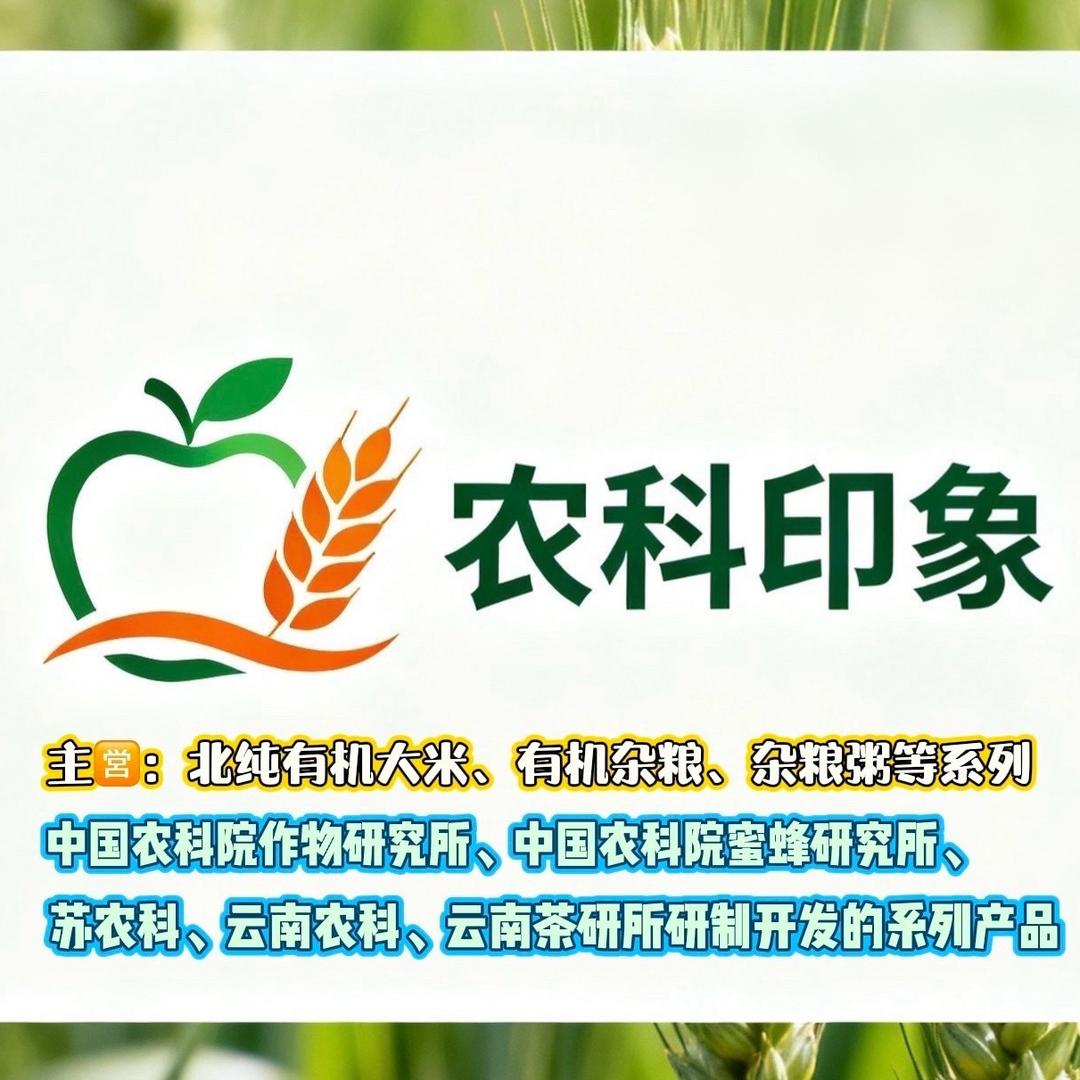 哈罗德陈掌柜的铺子