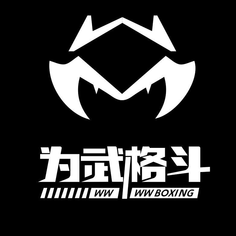 心毅体-为武格斗