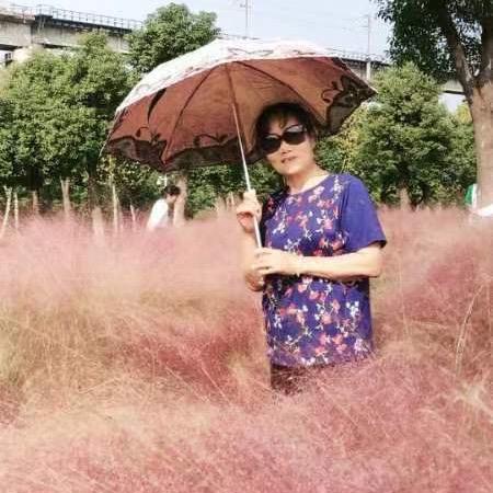 珍琴