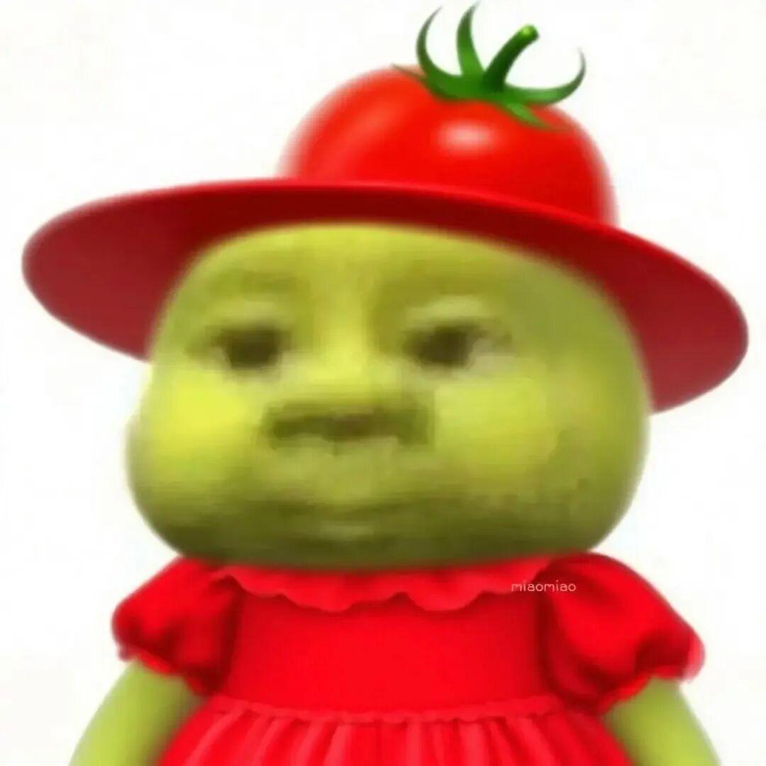 番茄小乌梅