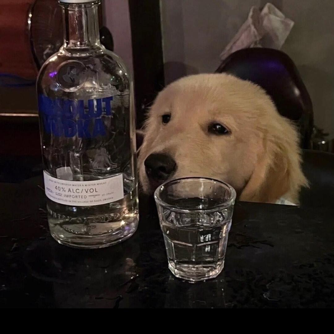 小新（三角洲行动）