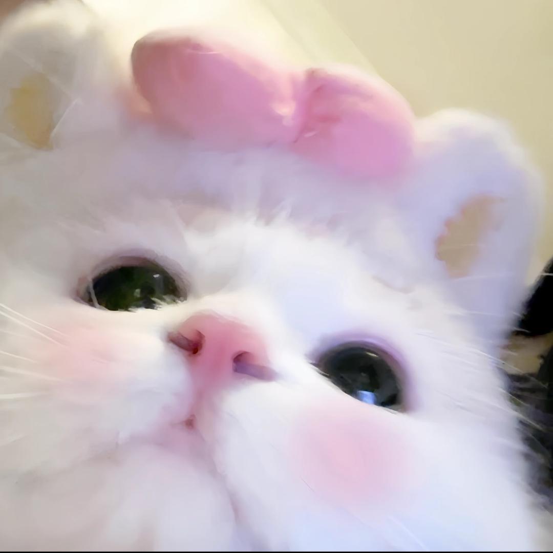 甜粥粥