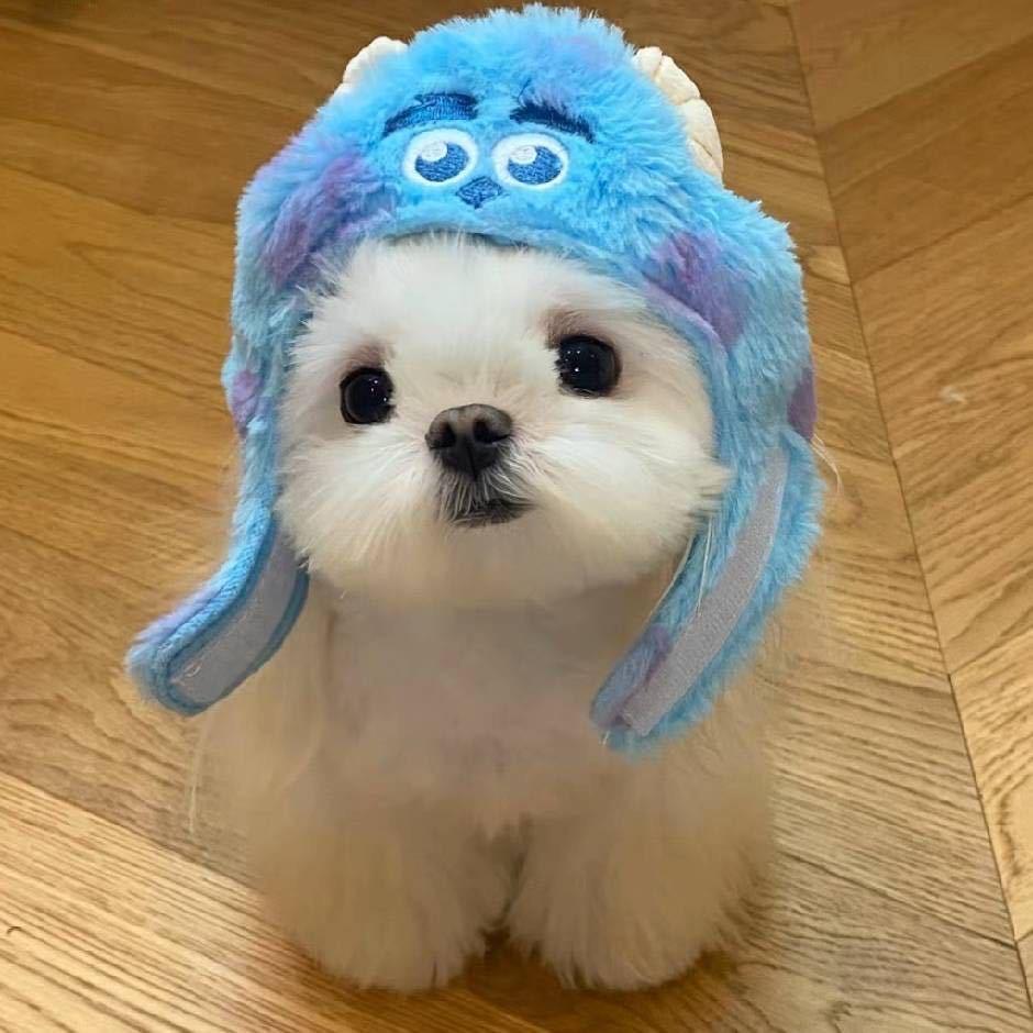 今天想念了吗🐣