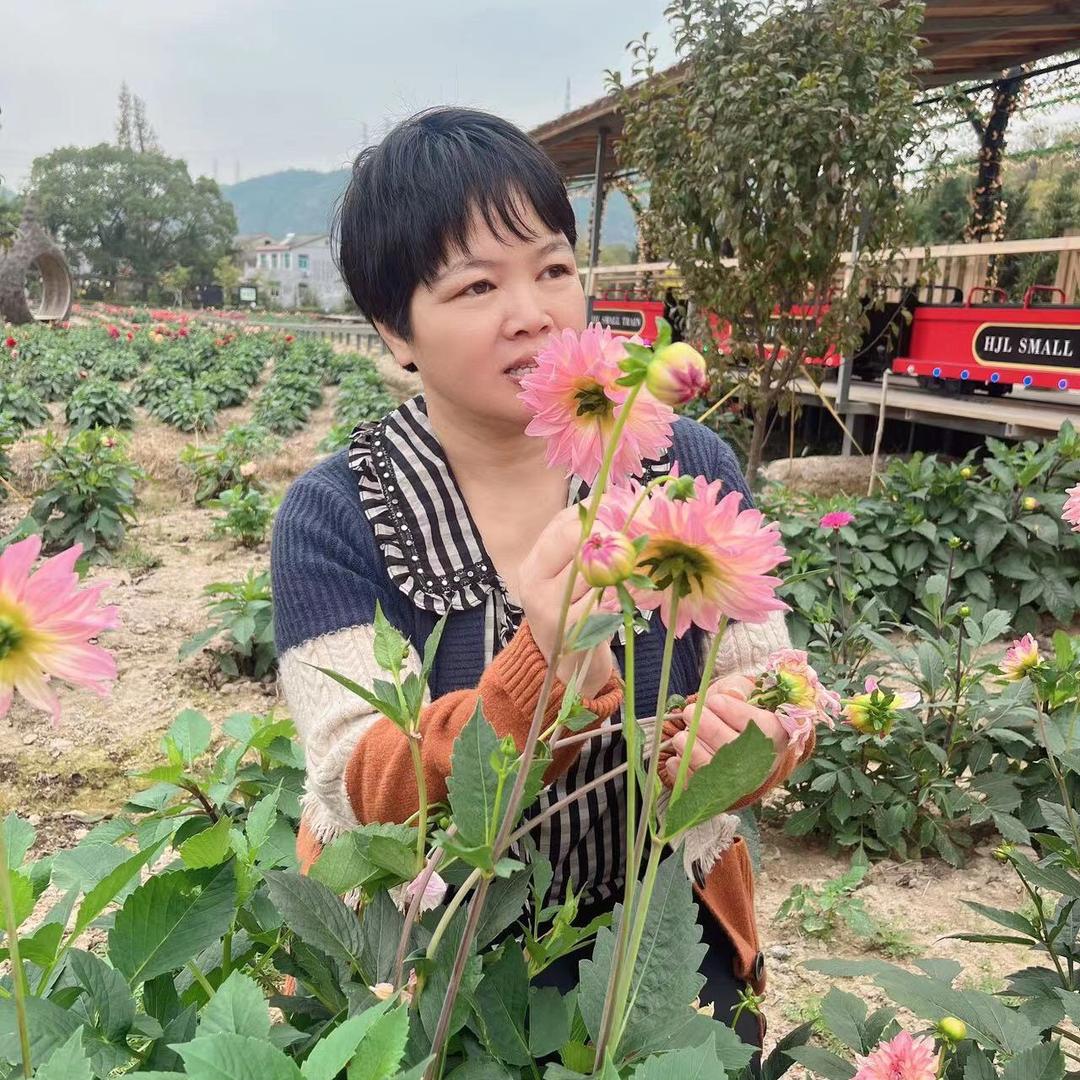苹果