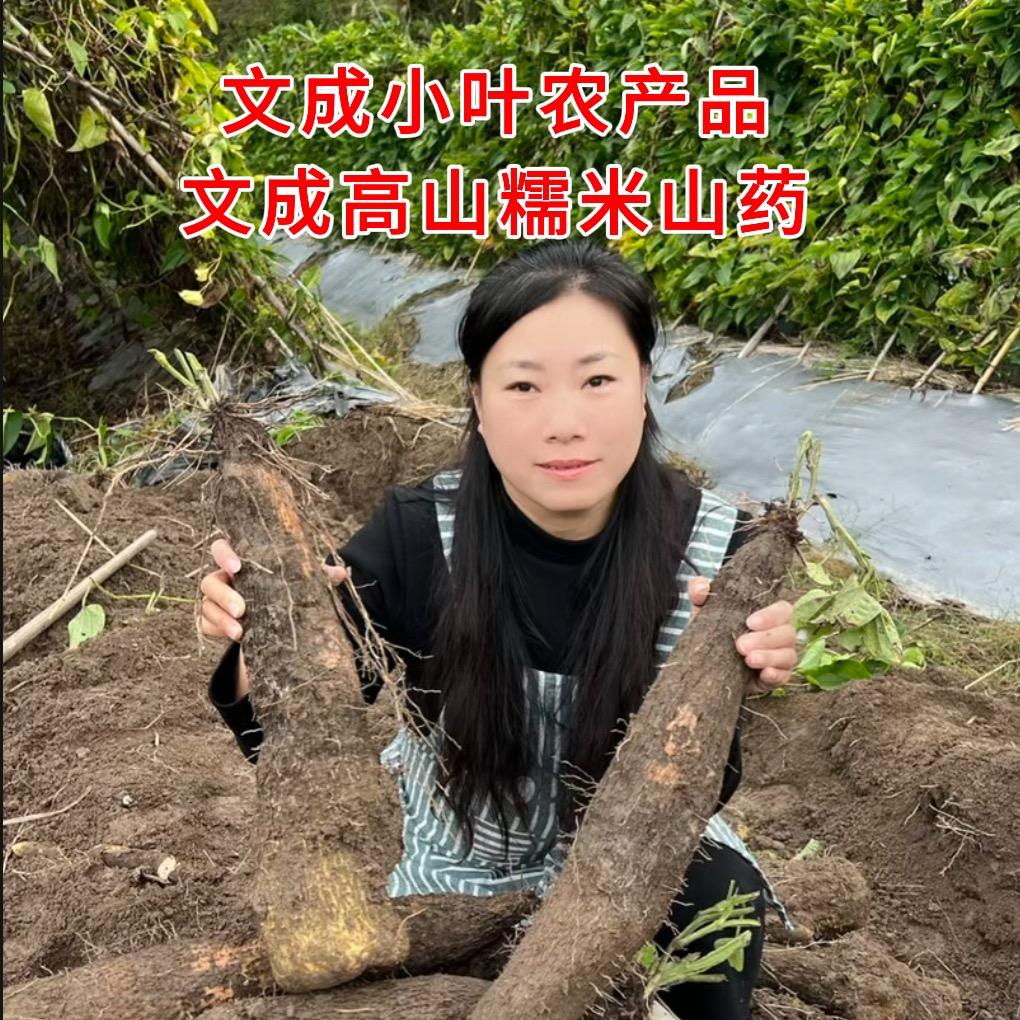 文成小叶农产品