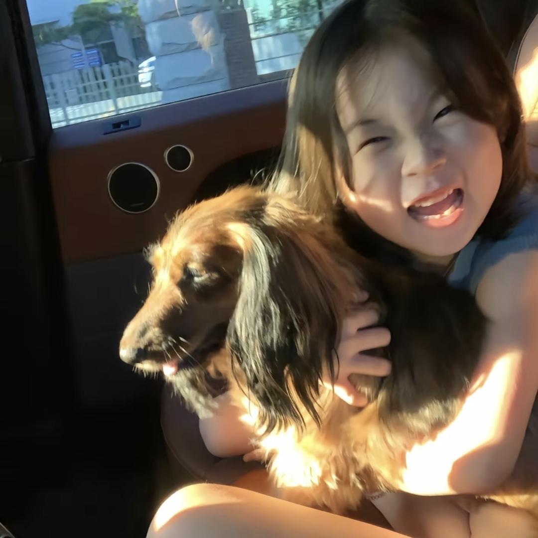 溜溜溜溜鹅