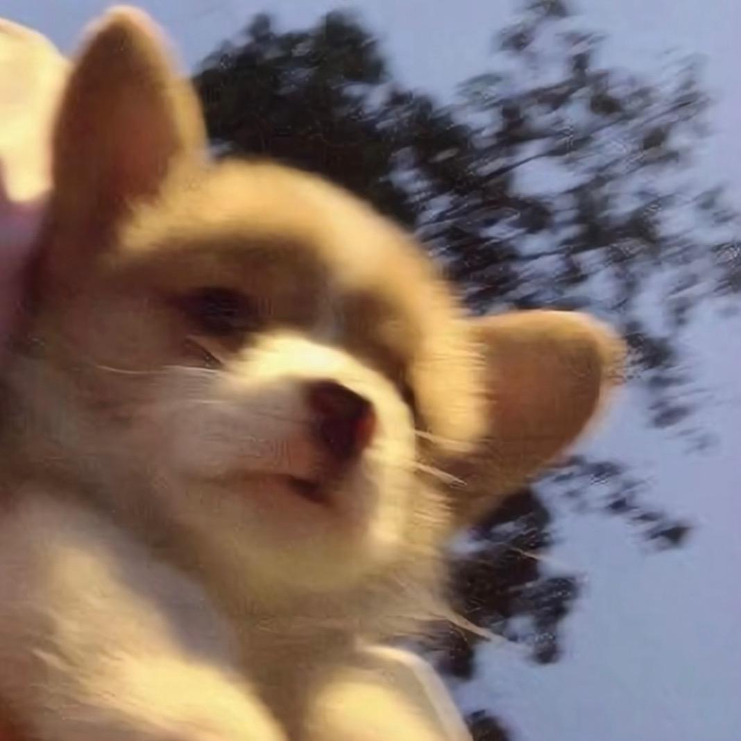 Lu.