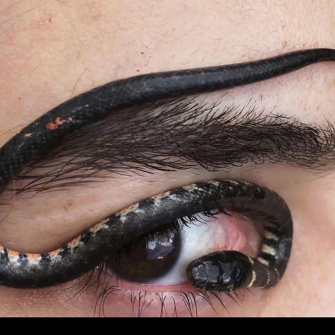 沙滩上的寄居蟹