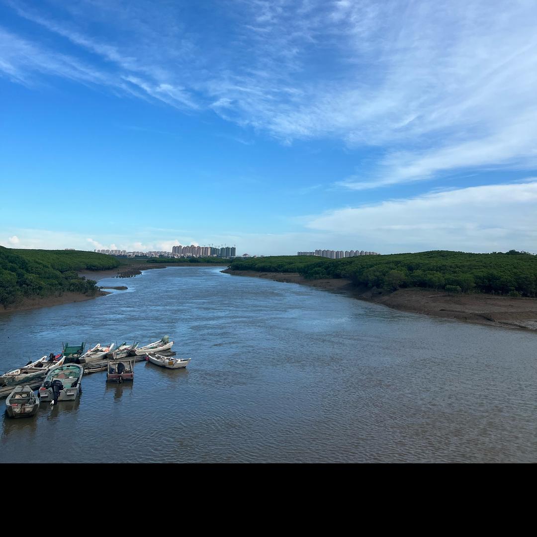 雪茄哥日常分享