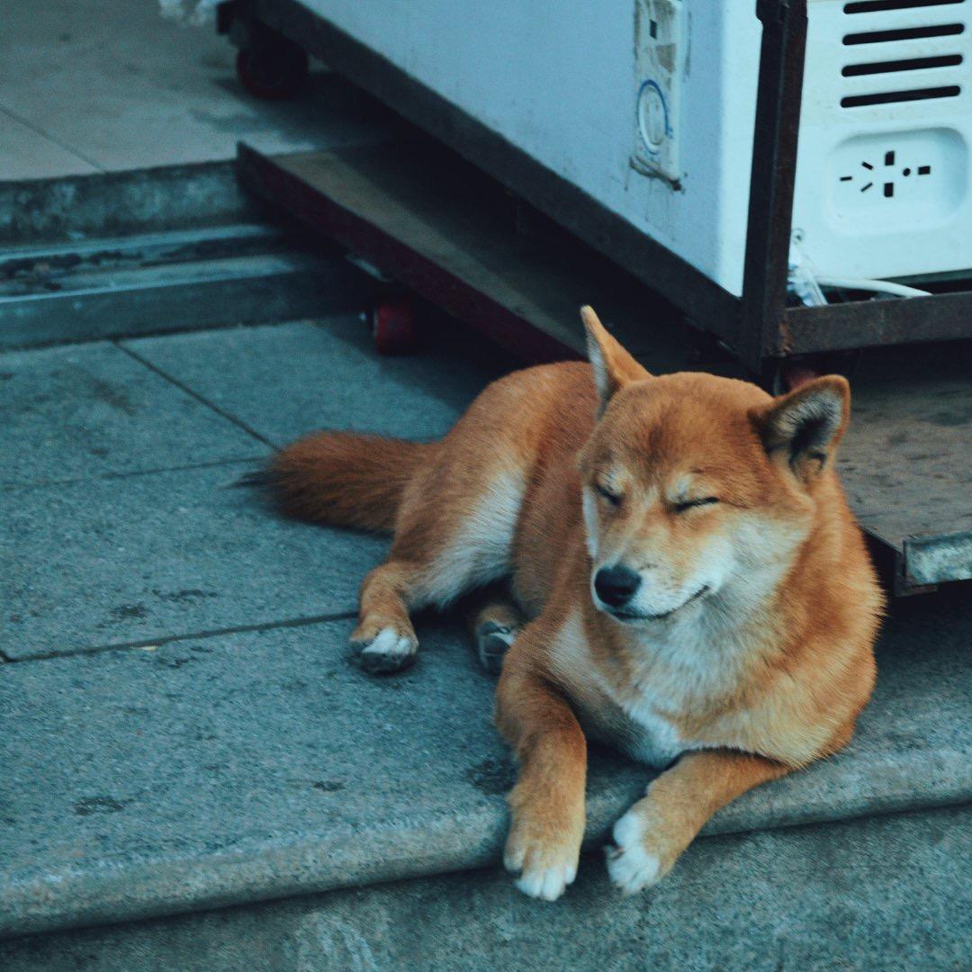 与