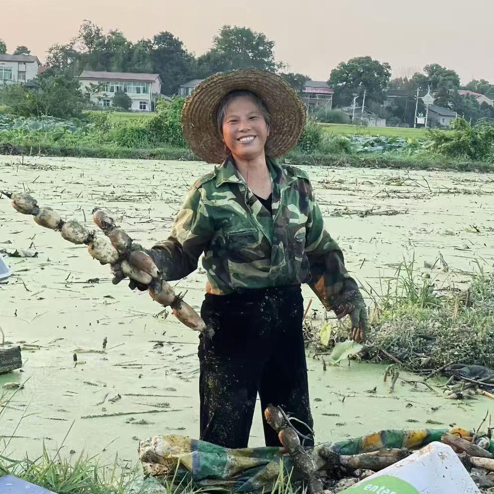 蔡藕姐小姑子