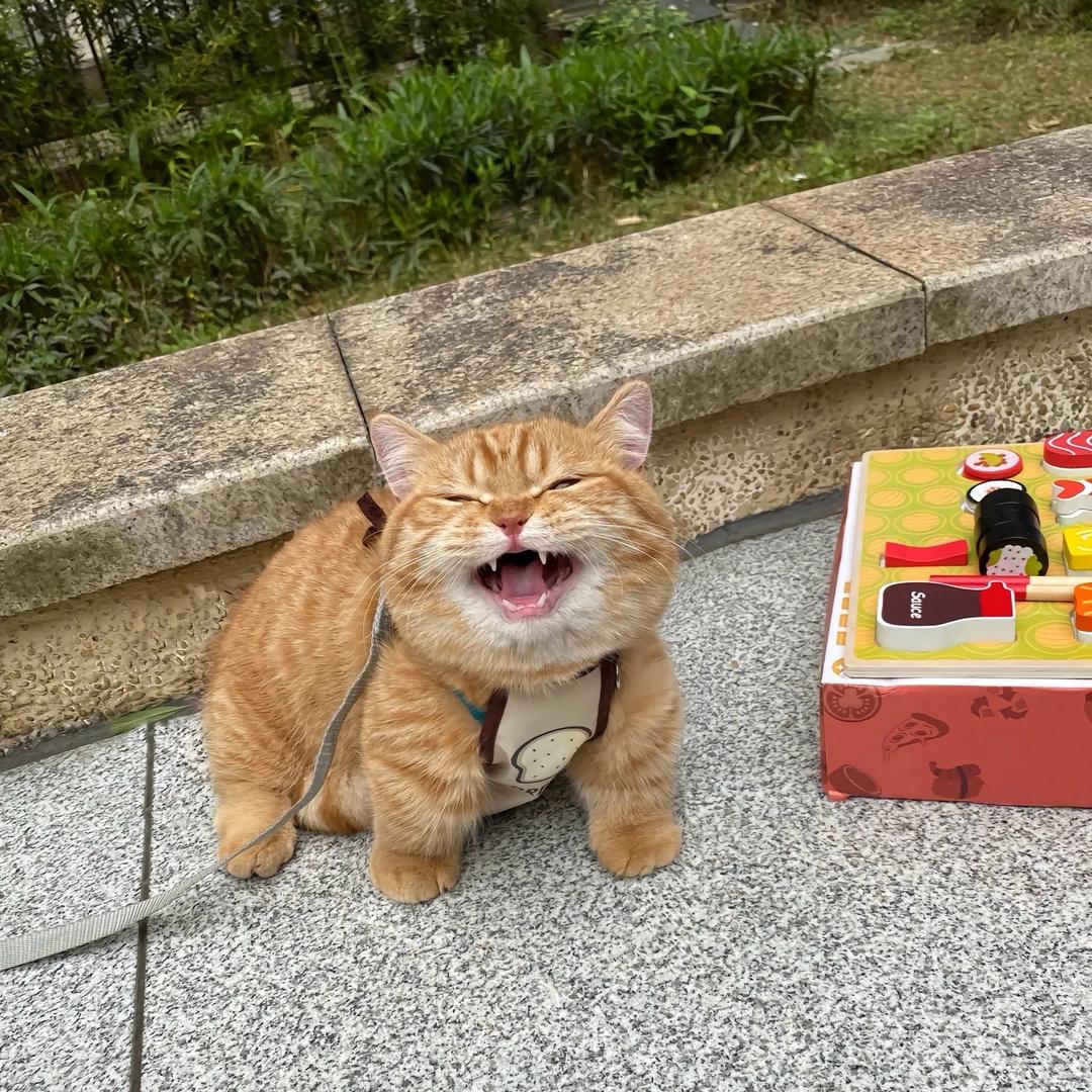 Freedom。