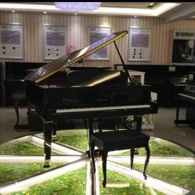 八戒乐器销售和培训