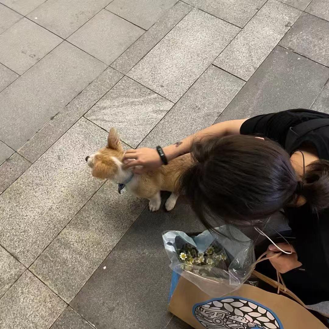 澄老师（无畏契约）