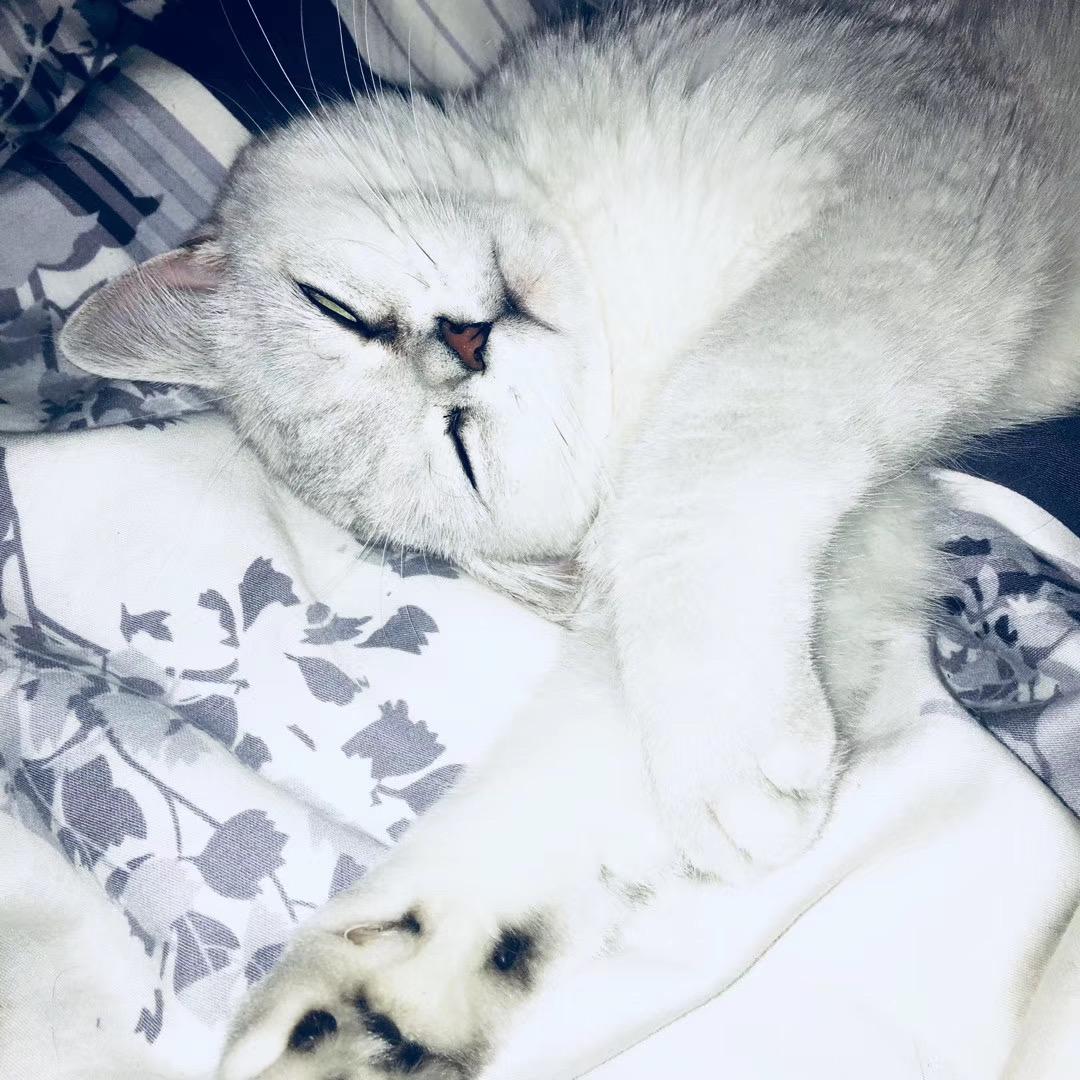 爱哭泣的小青蛙