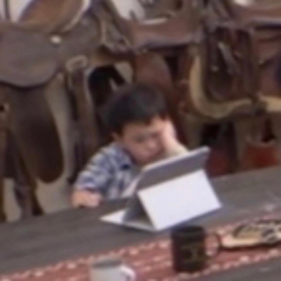 一周来看我七次好吗