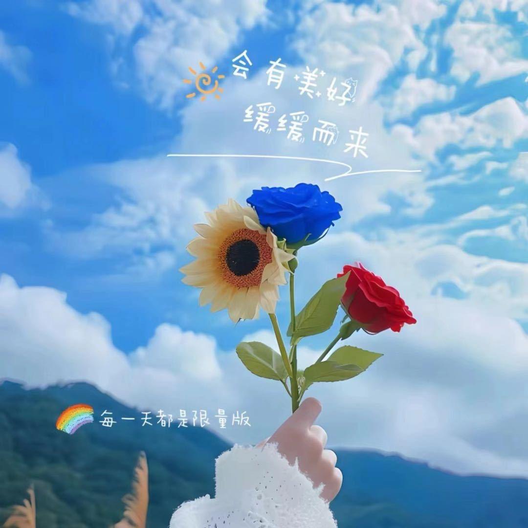 🍁三七.