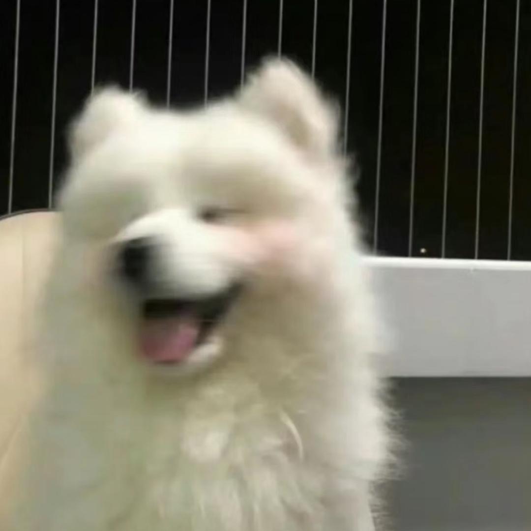 陈平安.