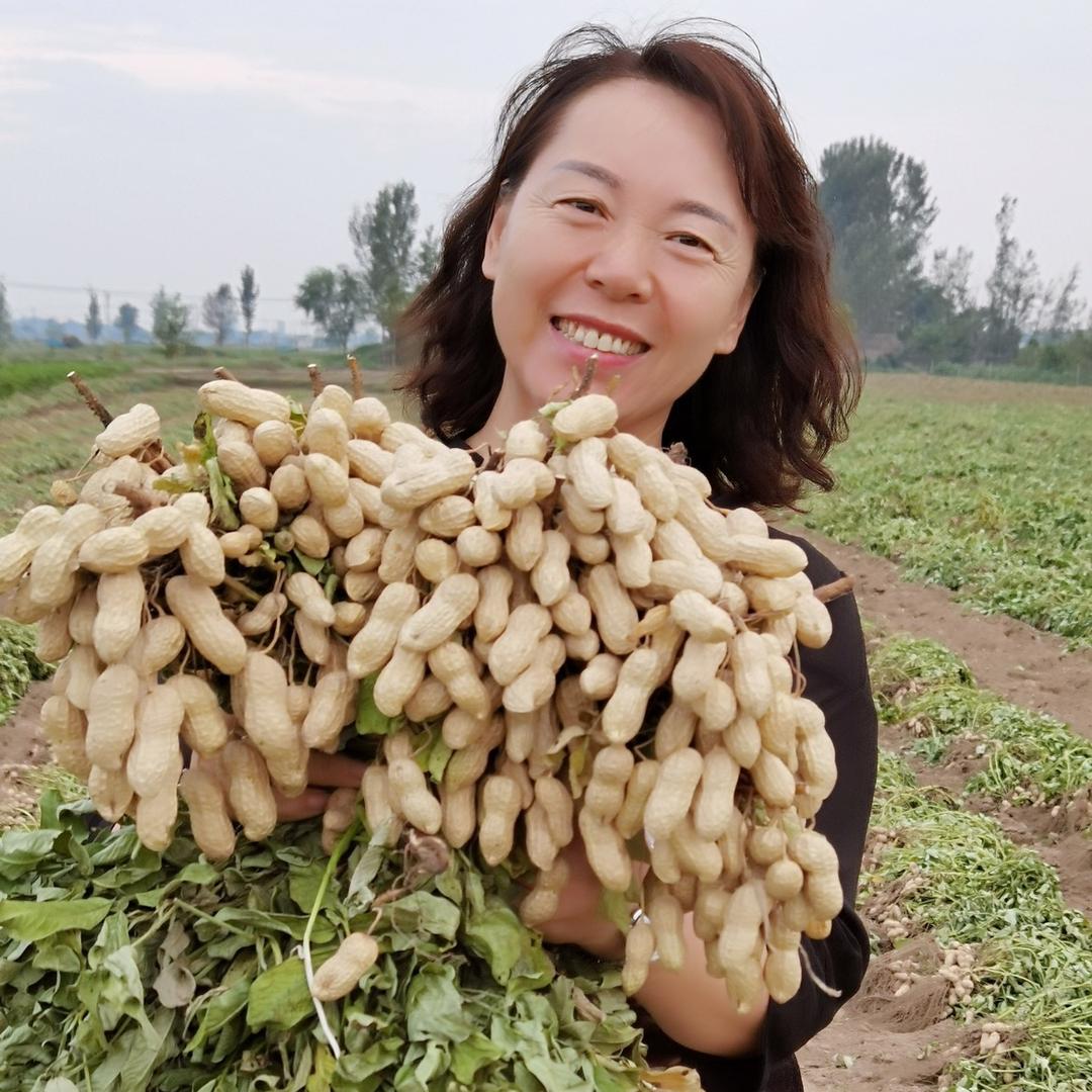 芸保凯——提质增产剂（红姐）