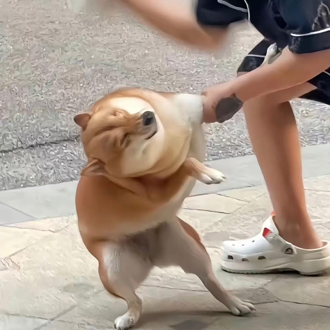 ¹口¹个布丁🍮