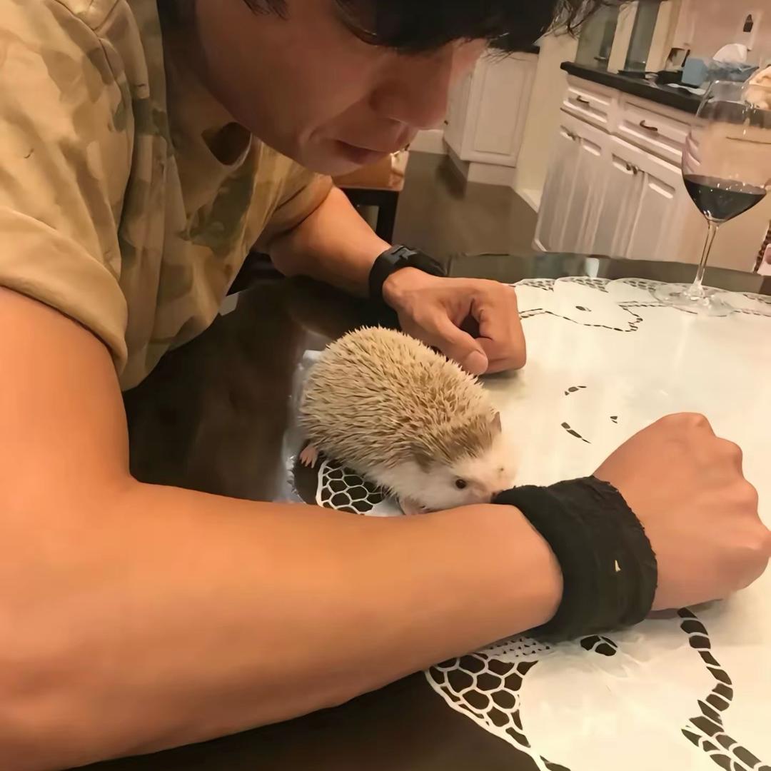 Cr