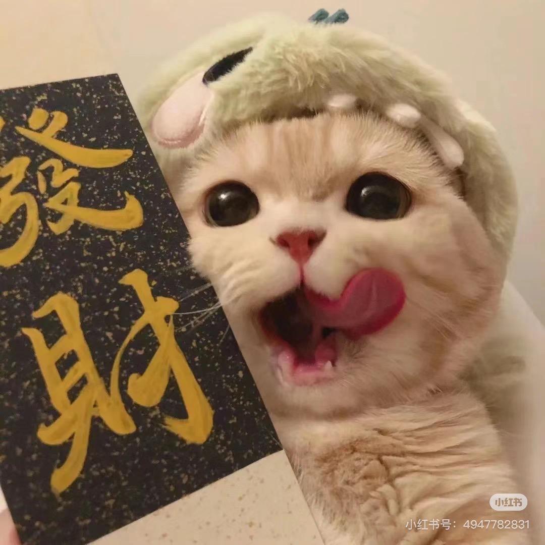 喵星奇遇宠物玩具